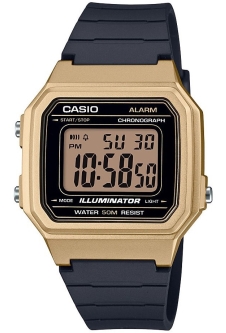 Часы CASIO W-217HM-9AVEF
